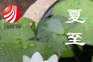 夏至芳菲,满目繁花。